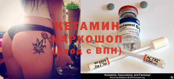 стафф Богданович