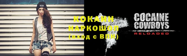 твердый Богородицк