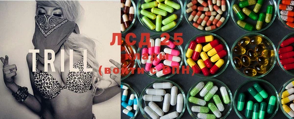 стафф Богданович