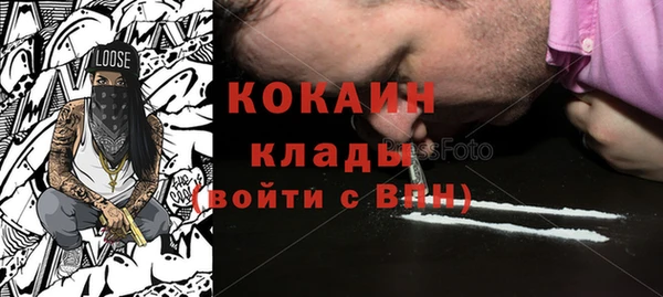 твердый Богородицк