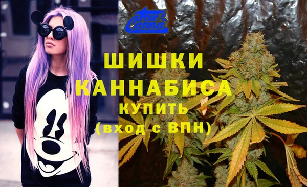 твердый Богородицк