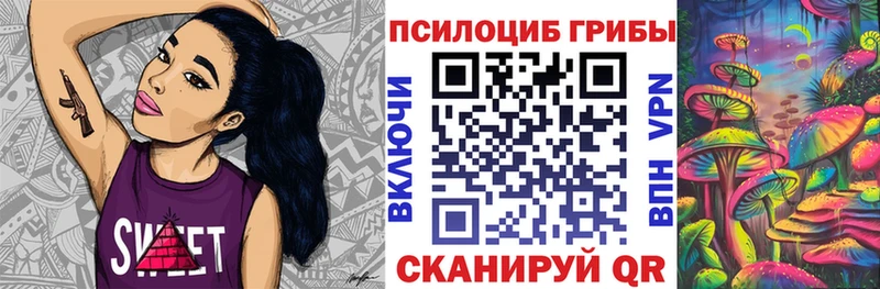 закладка  Волгореченск  Псилоцибиновые грибы GOLDEN TEACHER 